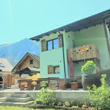 Apartments Mojstrana - Kekec Bagian luar foto